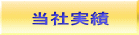 当社実績